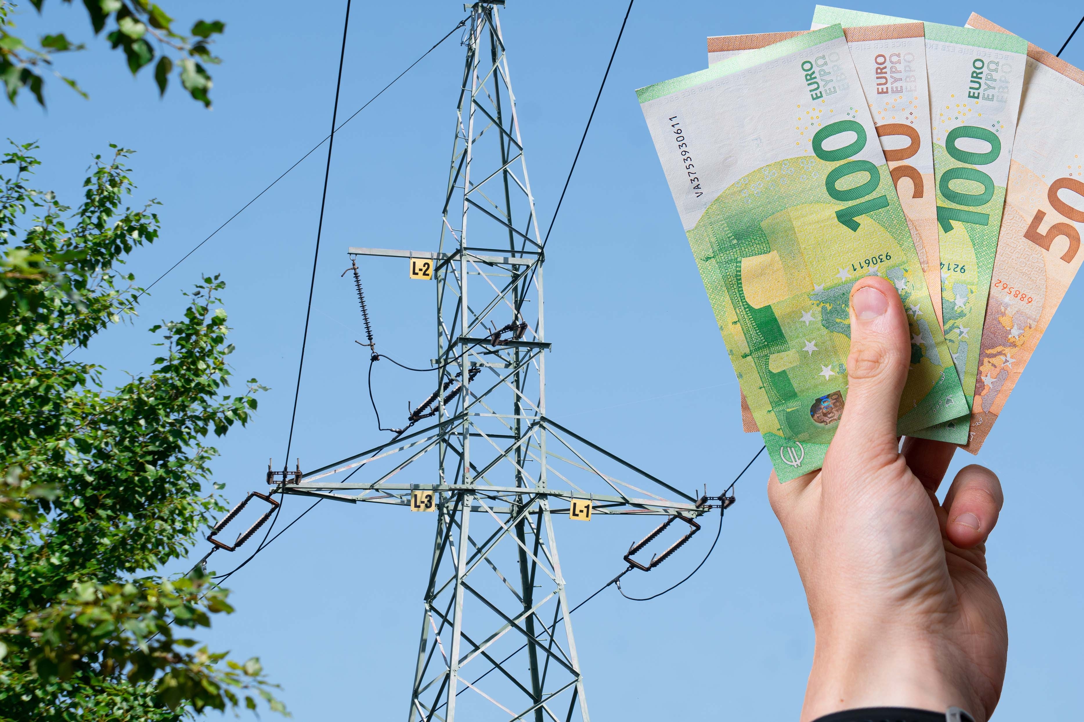 Obračunavanje omrežnine